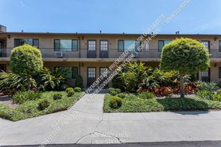 mad255 - Photo 1 of 1