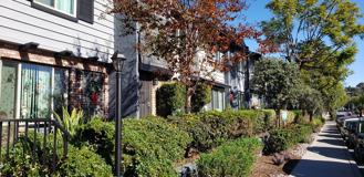 8150 Lemon Ave #212 - Photo 1 of 1