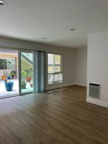 Mirasol - Photo 1 of 1