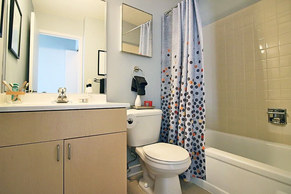 1212 S Michigan Ave #1-1 - Photo 7 of 38