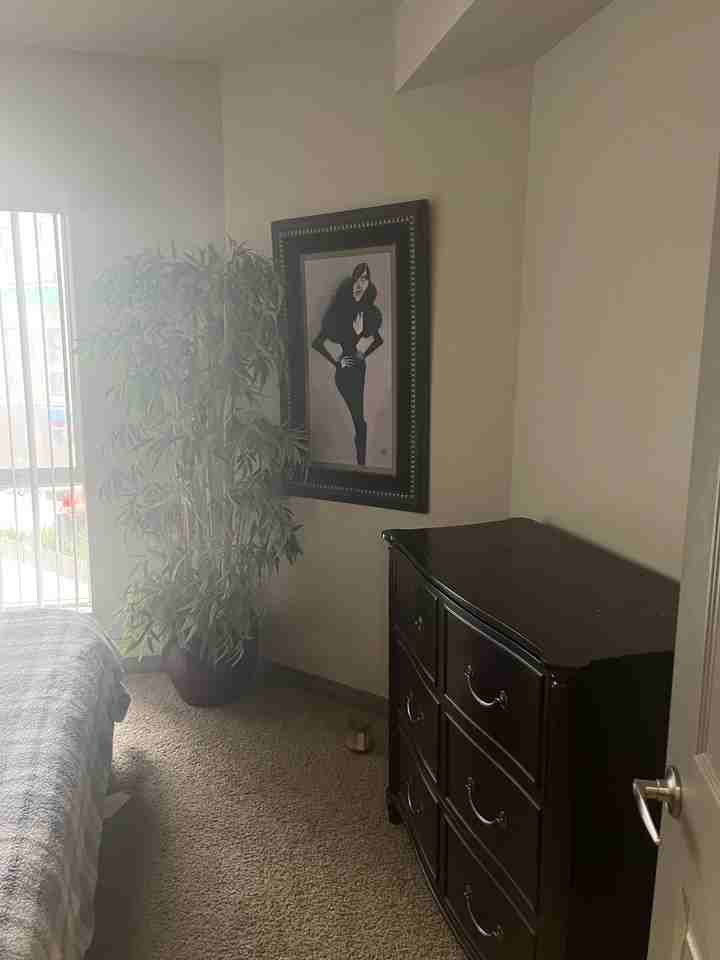 4221 Via Marina - Photo 2 of 5