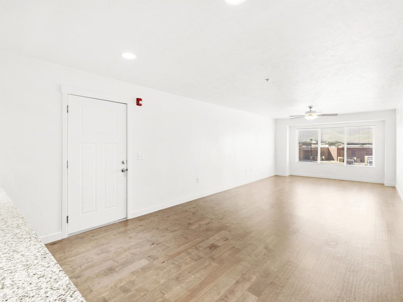 Happy Fletch - Photo 3 of 8