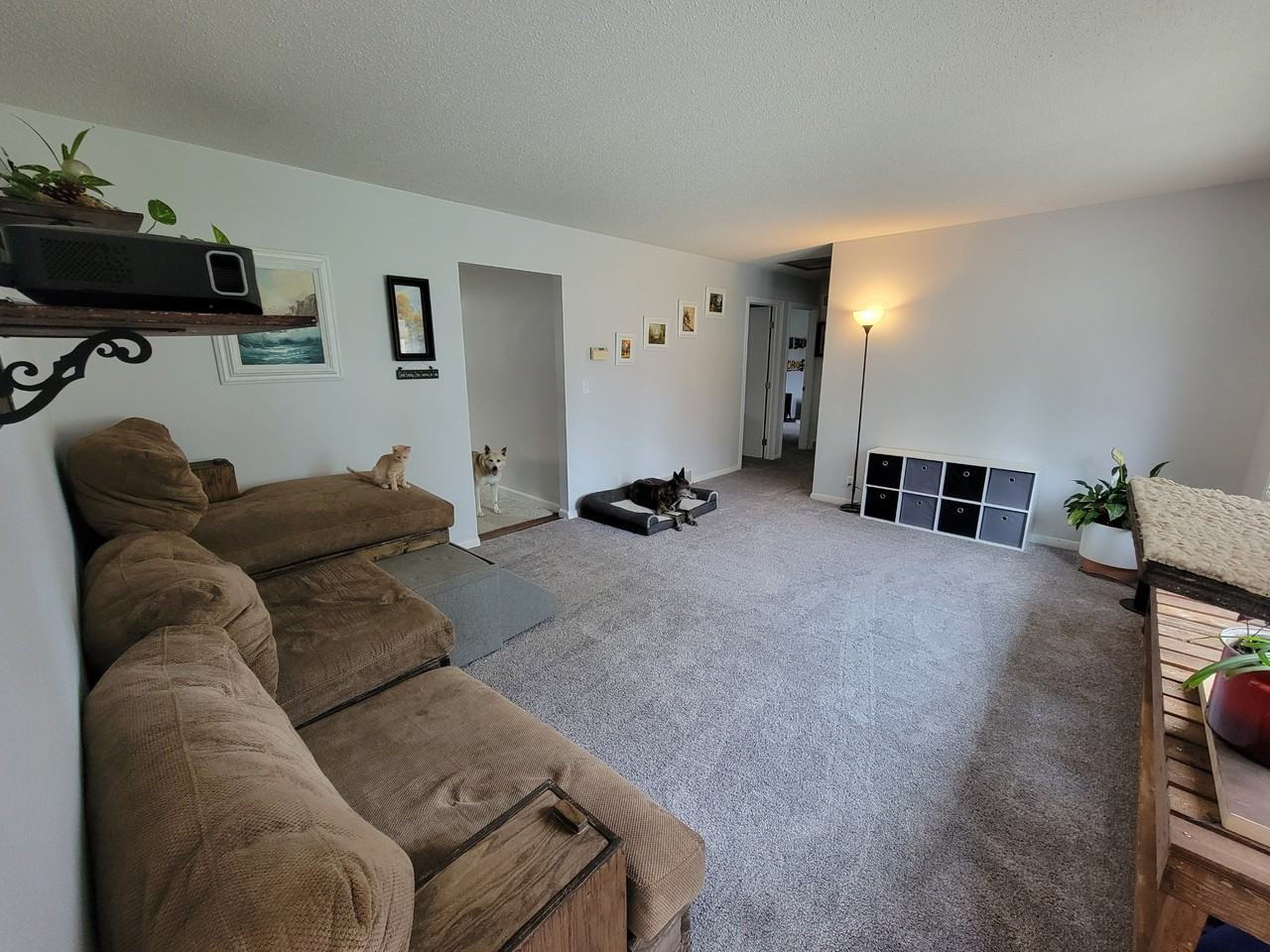 512 Spruce Dr #NA - Photo 3 of 21