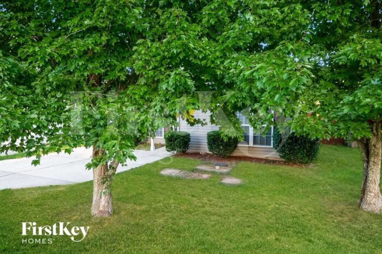 3214 Penny Earley Ln - Photo 3 of 15