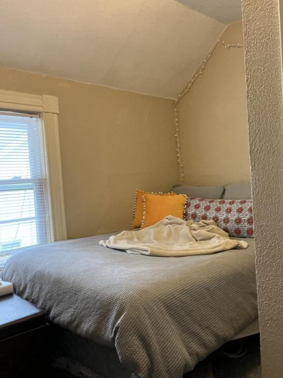 1124A Elmwood Ave - Photo 5 of 11