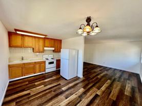 218V-CS - Photo 1 of 1