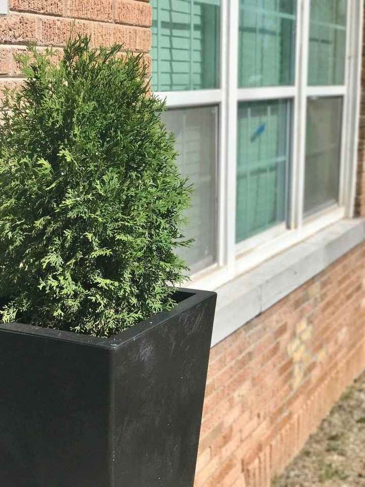 Georgian - Photo 3 of 21