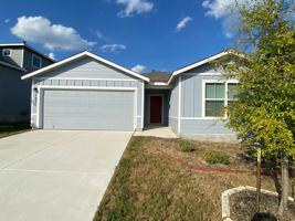 featured image of 122 Moscovy Duck