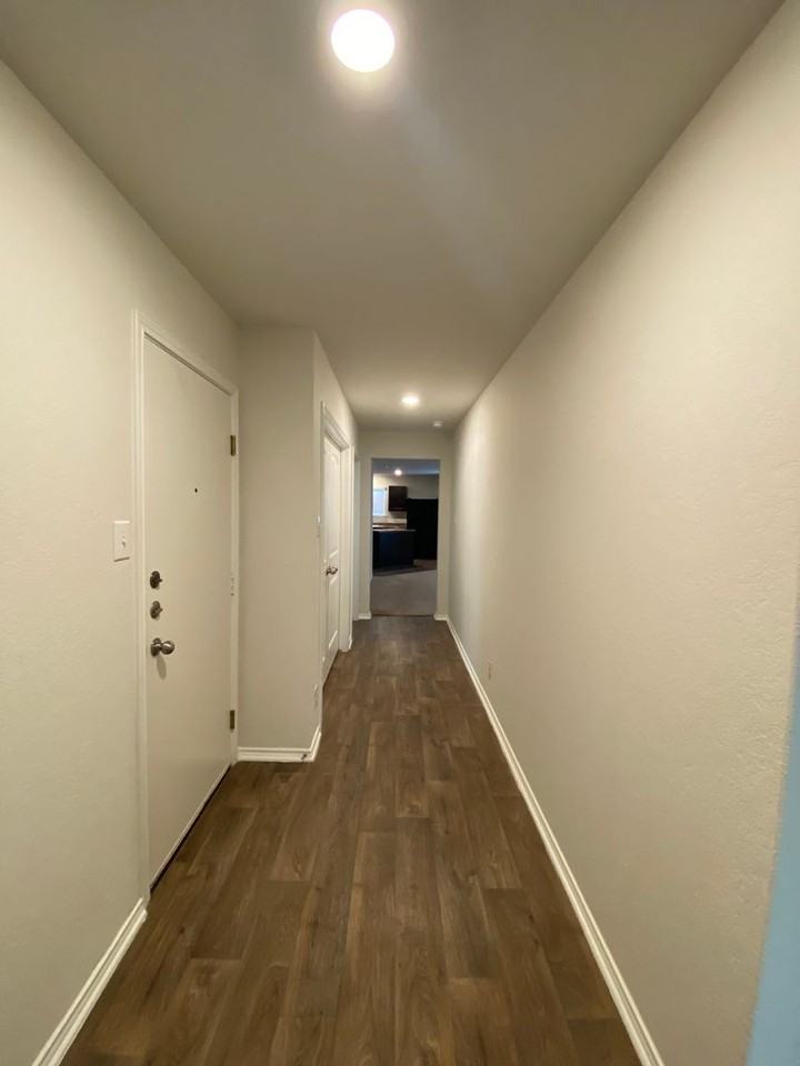 122 Moscovy Duck - Photo 3 of 20