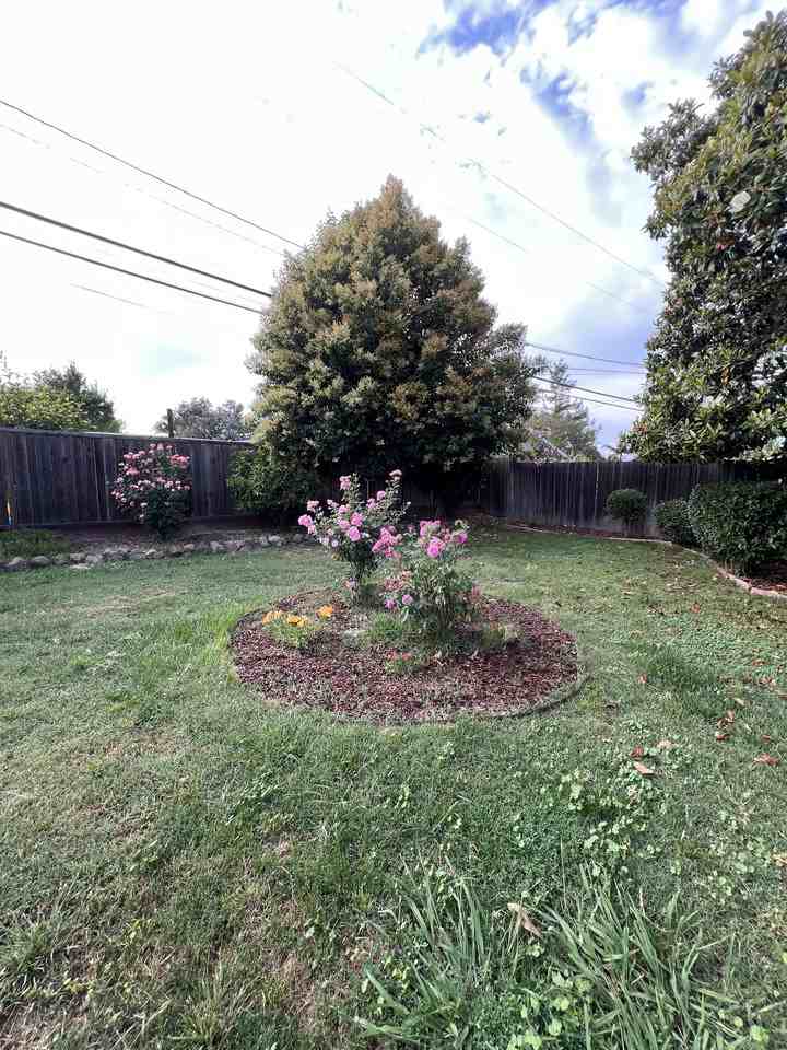 1707 Fallbrook Ave #NA - Photo 3 of 15