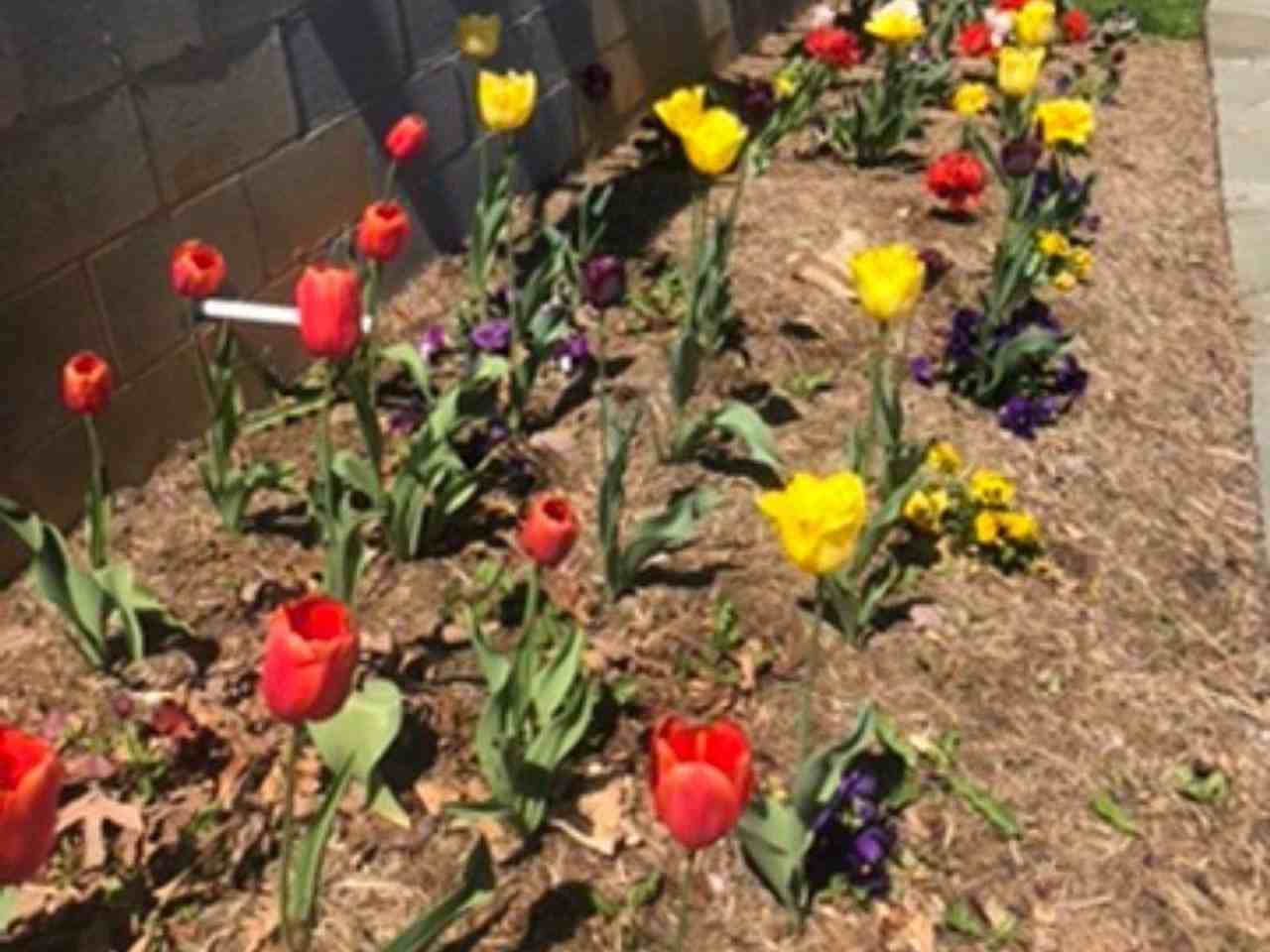 1607 Westwood Rd - Photo 3 of 37