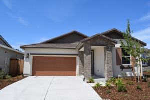featured image of 1429 Cheetah Street