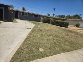 featured image of 117 Candy St