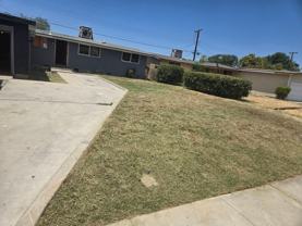 117 Candy St - Photo 1 of 1