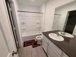 featured image of 20443 Fire Stone