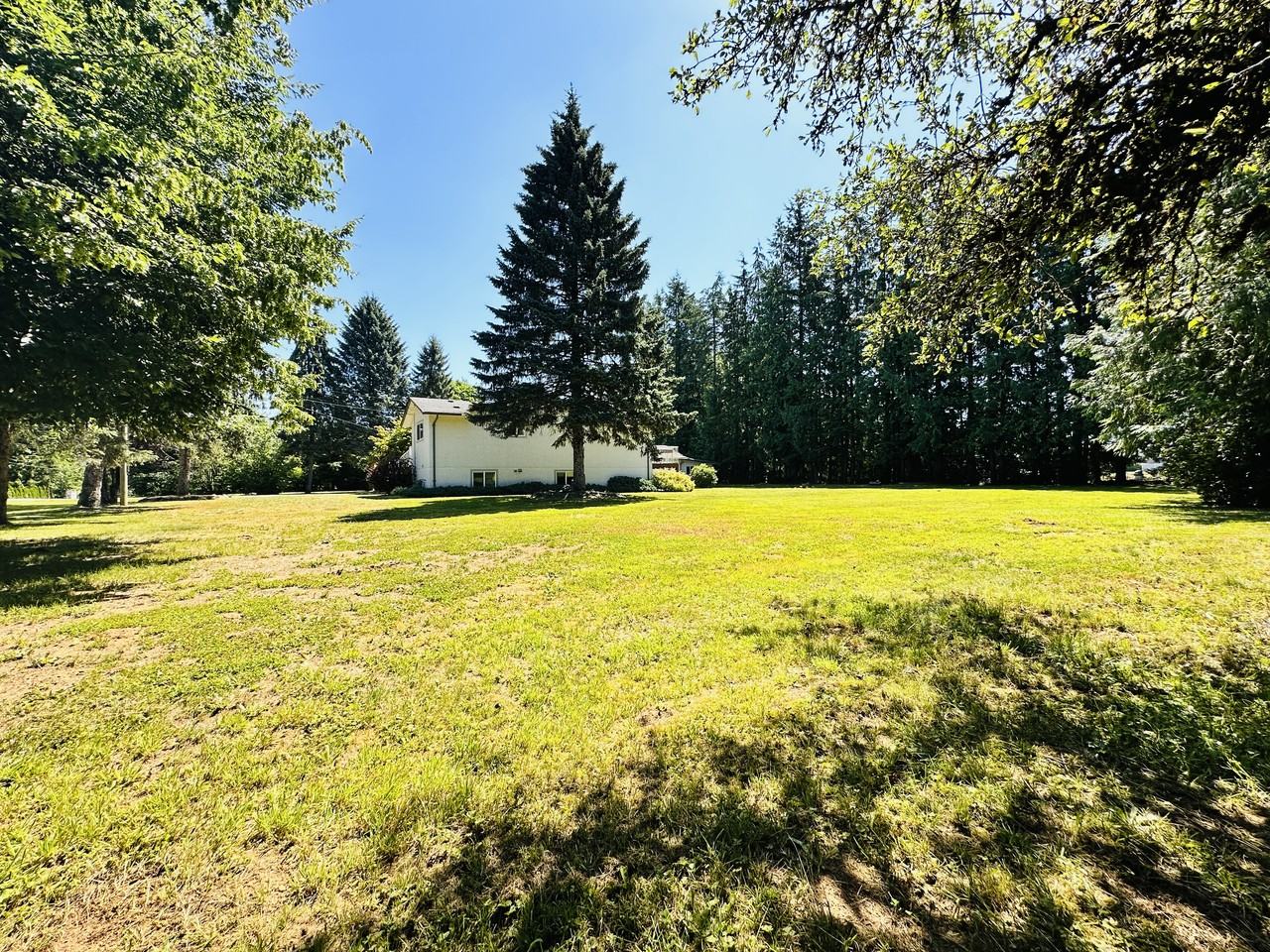 32544 Tunbridge Avenue - Photo 3 of 42