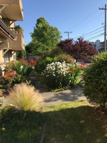 703 JH SCHOENTHAL - Photo 1 of 1
