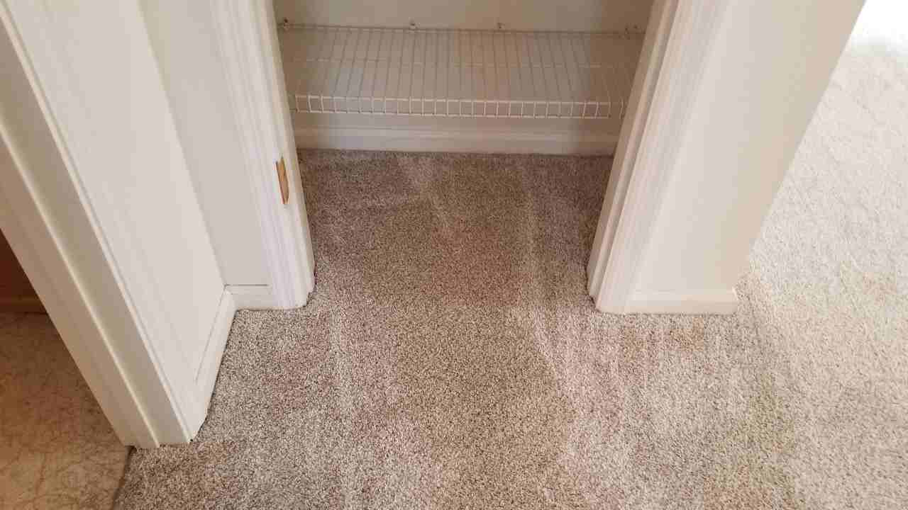 126 Kristine Blvd - Photo 6 of 36