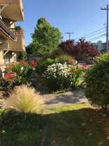 703 JH SCHOENTHAL - Photo 1 of 1