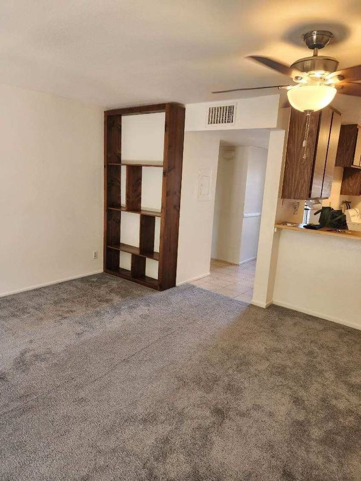 446 Orange Blossom - Photo 2 of 15