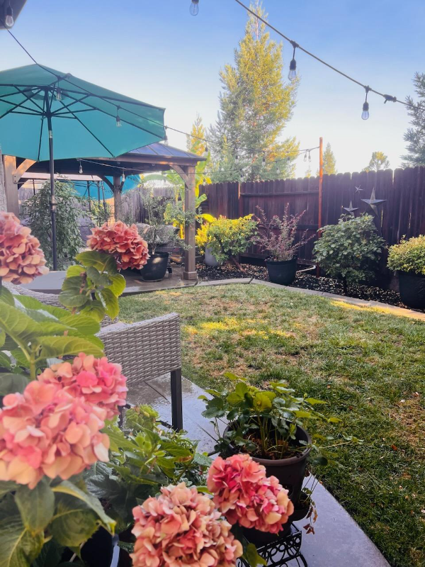 2198 Shady Creek Rd - Photo 3 of 9