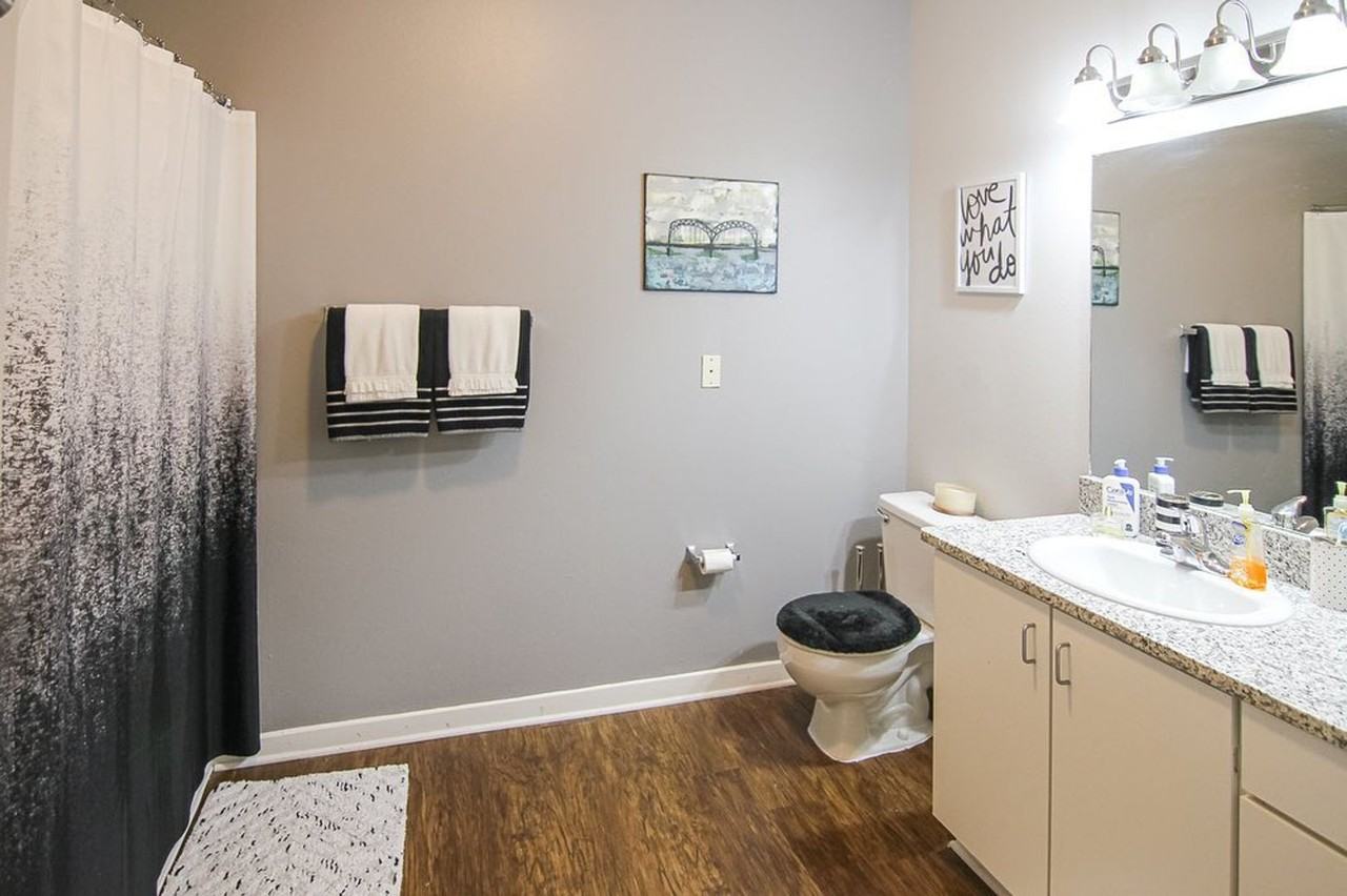 South Bluffs Apartments - Photo 3 of 48