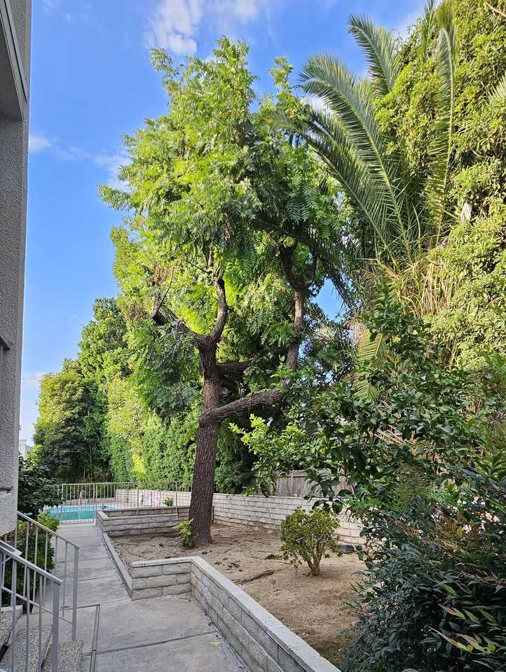 (Anna:B) 4610 Natick Avenue - Photo 5 of 5