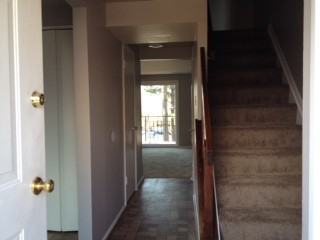 6559 Pressed Gentian #6559 - Photo 2 of 12