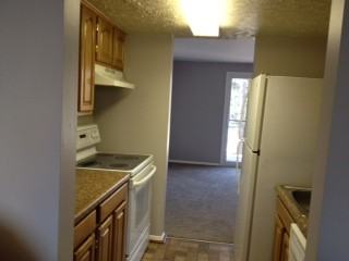 6559 Pressed Gentian #6559 - Photo 3 of 12