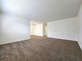 Raymond Ritz - Photo 1 of 1