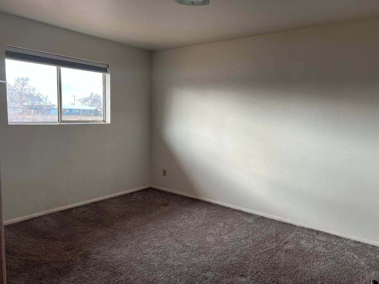 JacksonT-01 - Photo 6 of 10