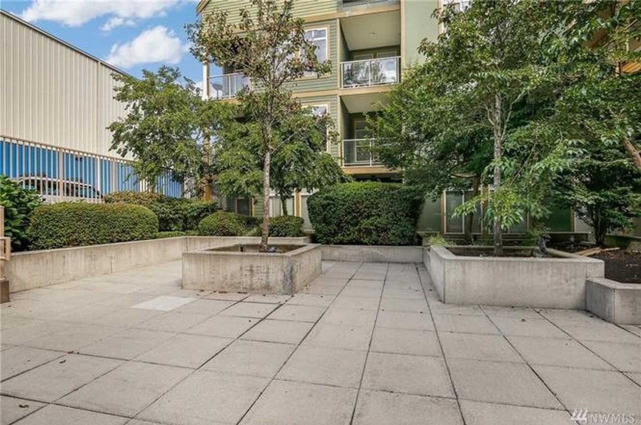 910 Gladstone Street #209 - Photo 2 of 15