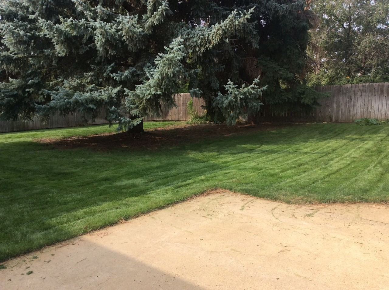 1031 12th Ave W - Photo 2 of 17