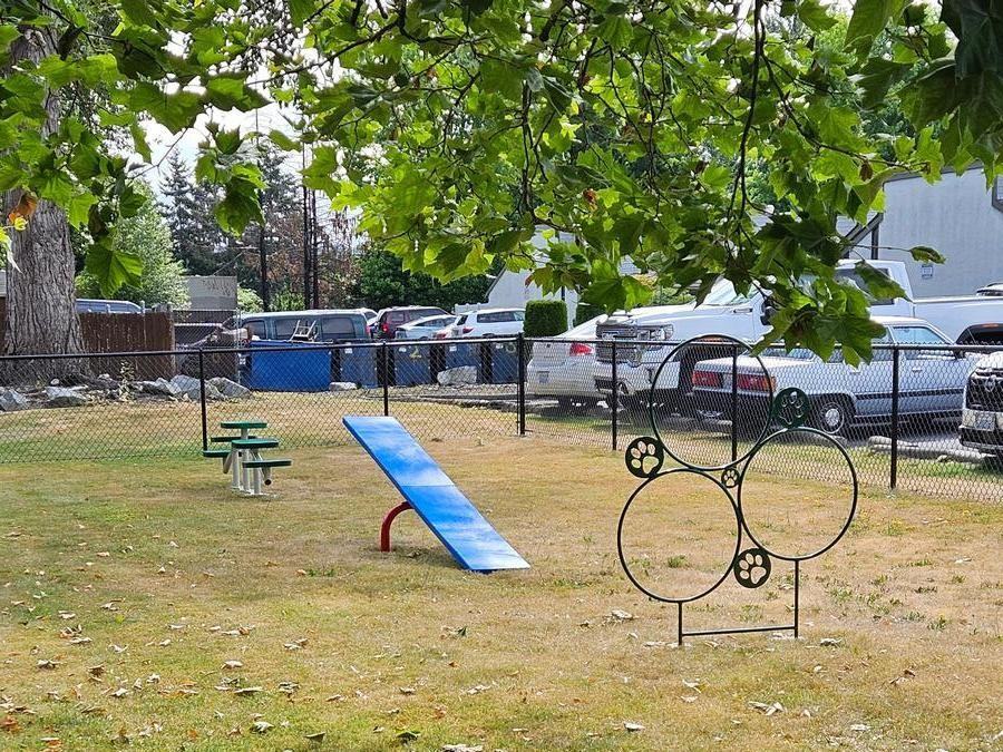 329 Ridgeview Dr - Photo 7 of 28