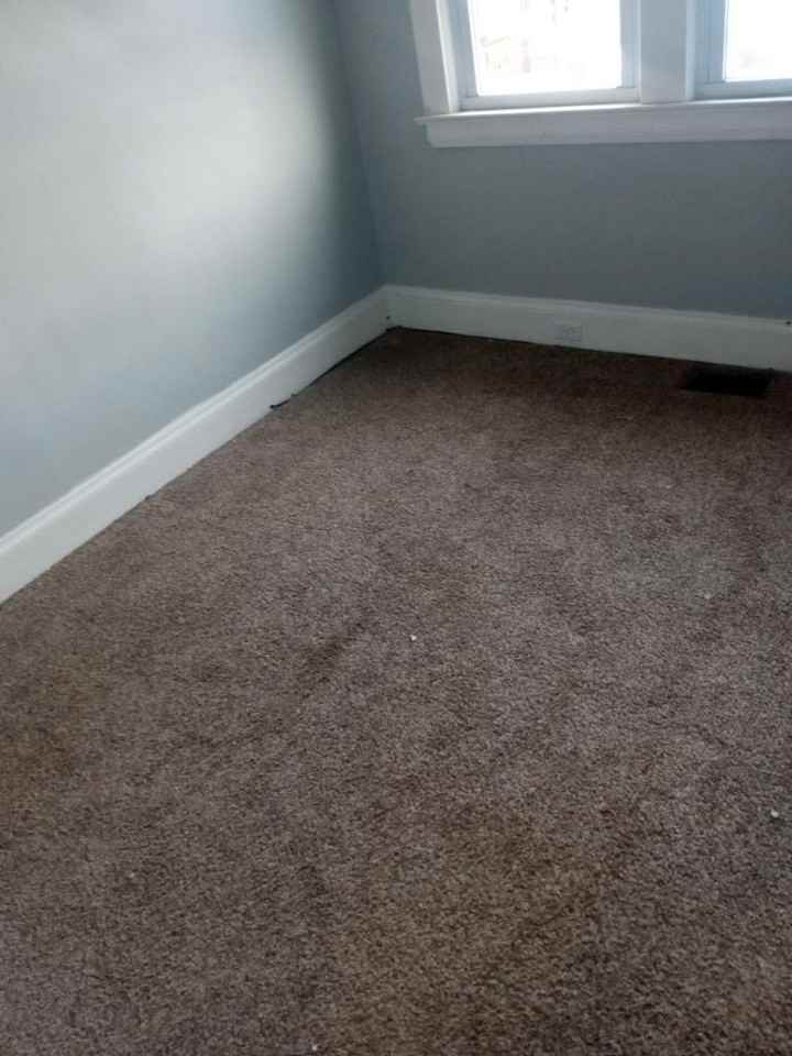 295 East Blvd - Photo 3 of 23