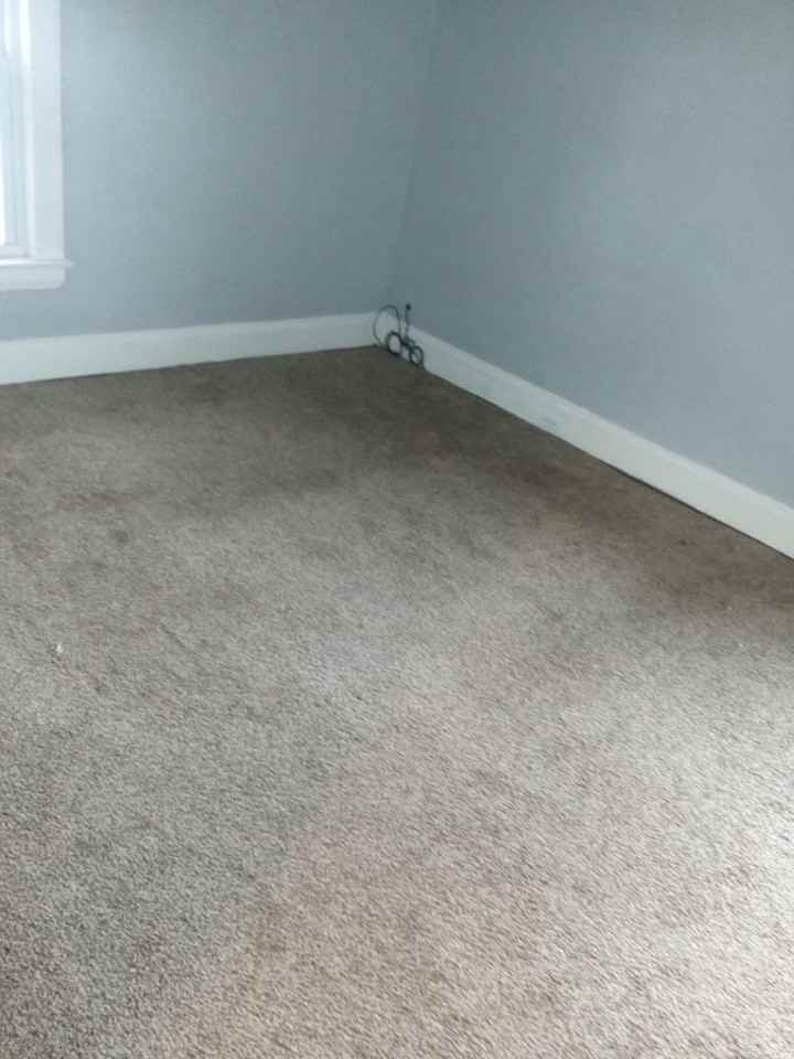 295 East Blvd - Photo 4 of 23