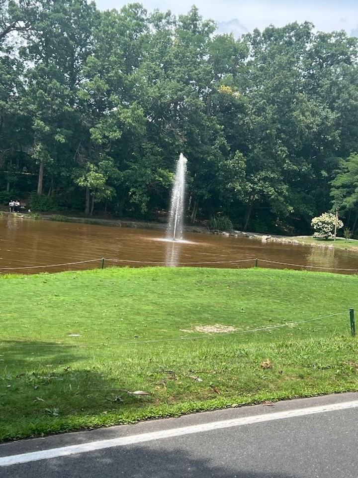 135 Merion Ln - Photo 3 of 23