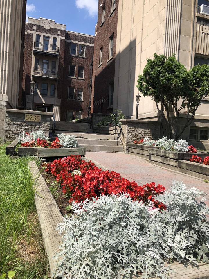 Plaza Court - Photo 4 of 5