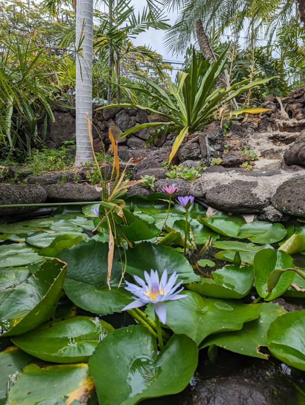 75-228 Aloha Kona Dr - Photo 4 of 15