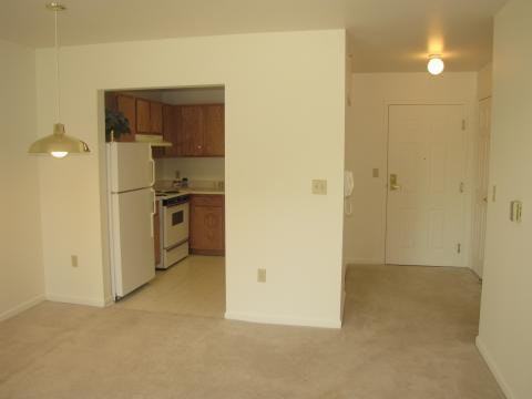 Meadows at Anchor Bay - Photo 6 of 17