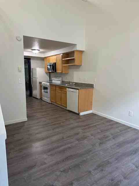 Ash Street Courtyard - Photo 2 of 19