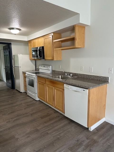 Ash Street Courtyard - Photo 4 of 19