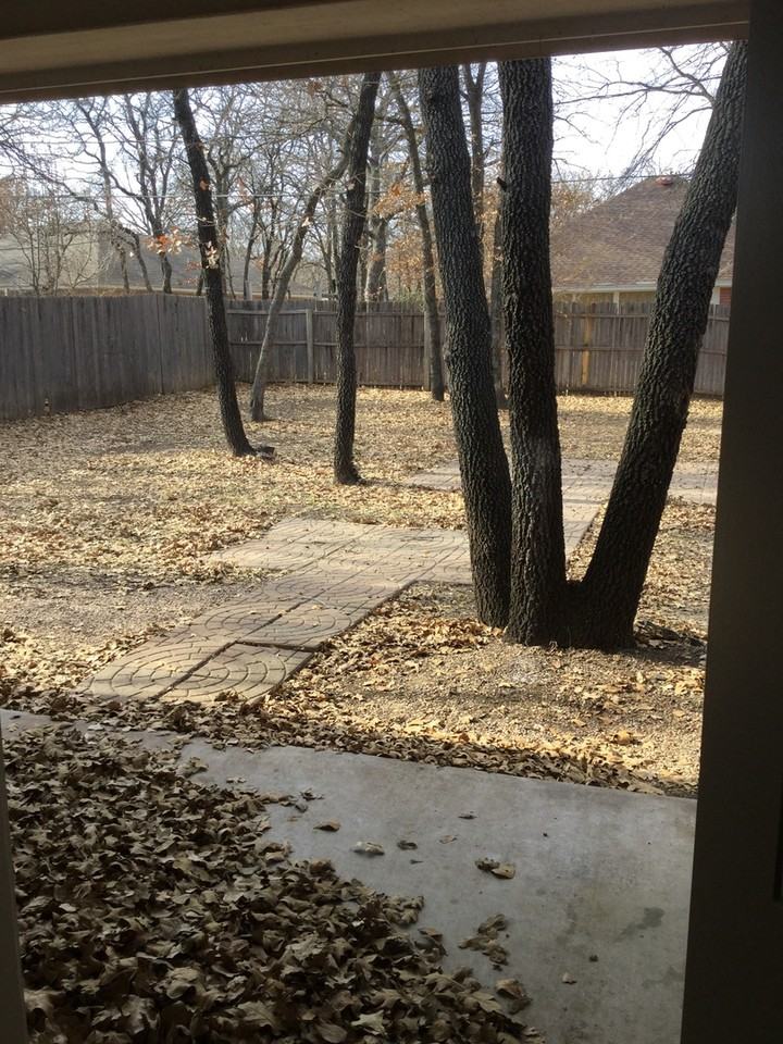 725 Oak Park Dr - Photo 2 of 23