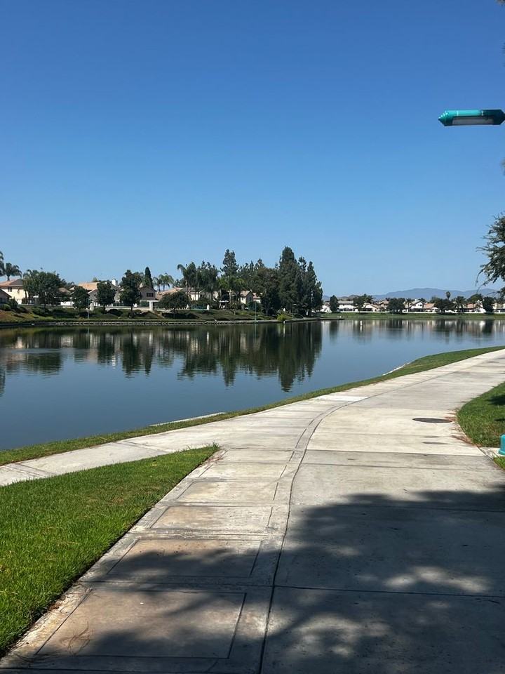 30190 Calle Pompeii - Photo 5 of 29