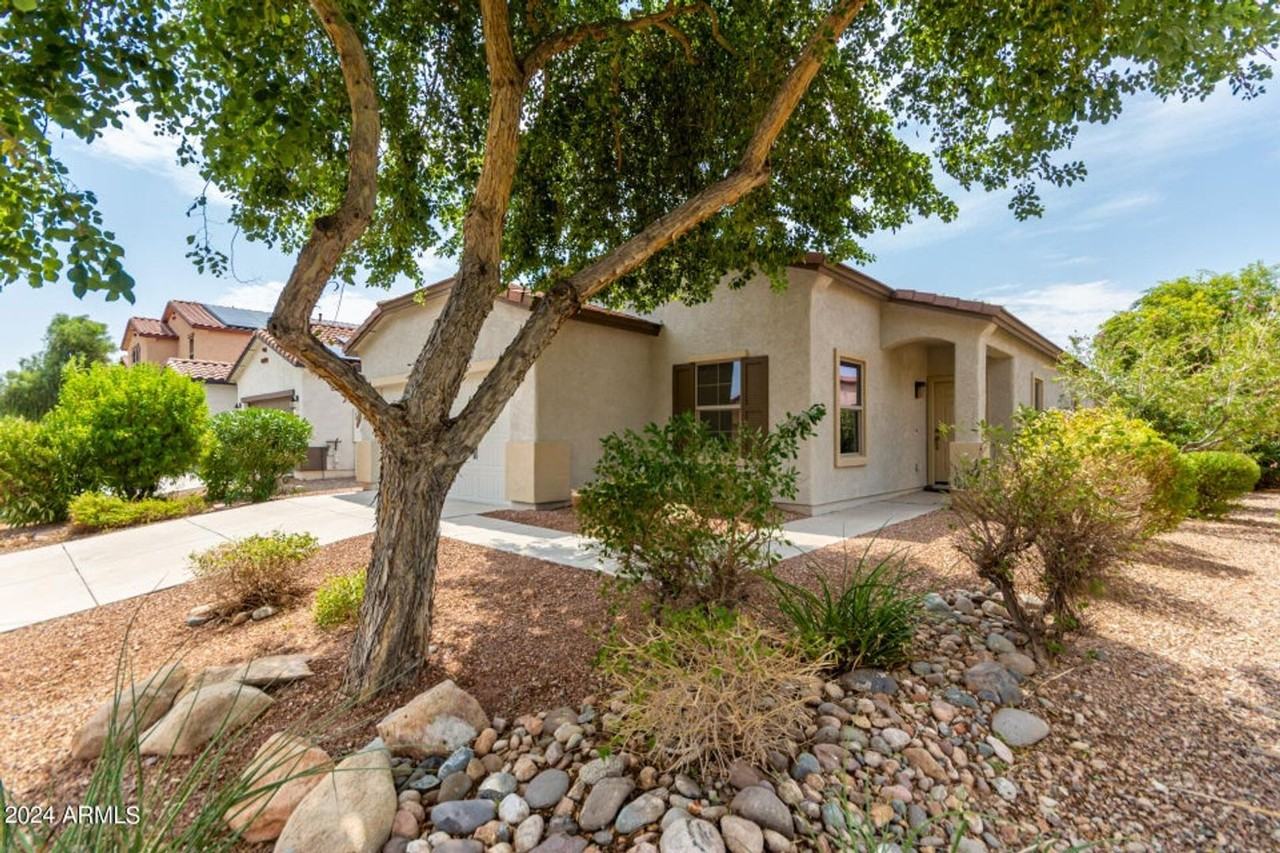10847 W Avenida Del Rey - Photo 5 of 42