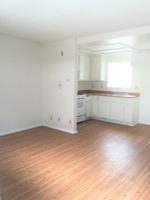 featured image of PEACH TREE II