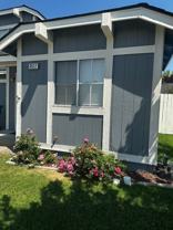 4517 Park Rose Cir - Photo 1 of 1