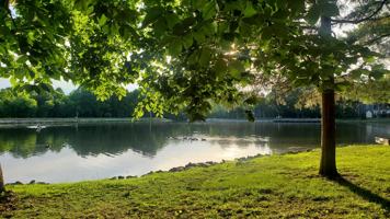 featured image of 12423 New Point Dr
