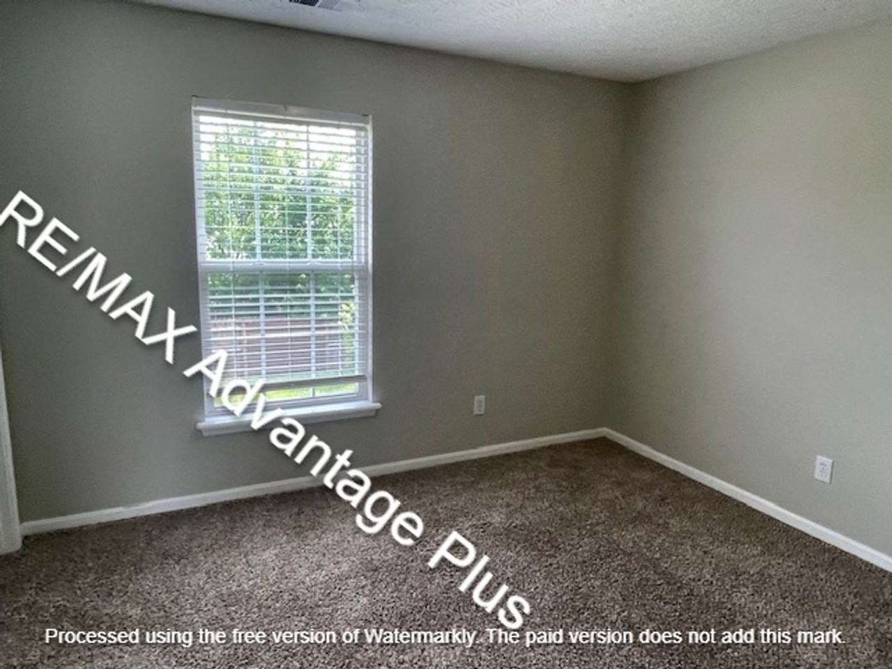 10618 Irvin Pines Dr - Photo 5 of 14