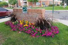 Village Square - Photo 1 of 1